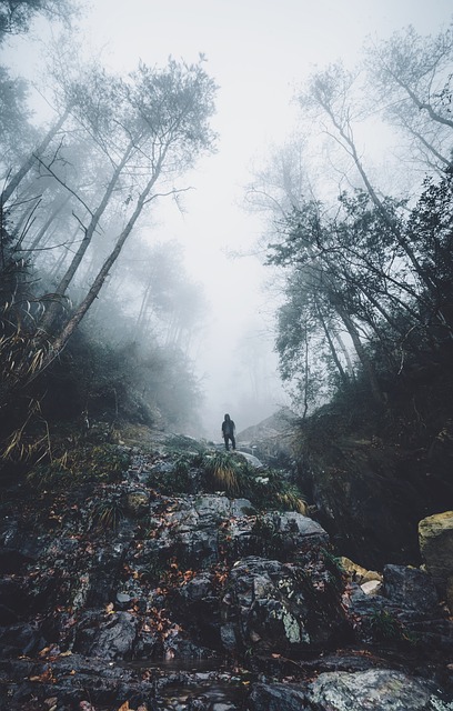 Image by StockSnap from Pixabay