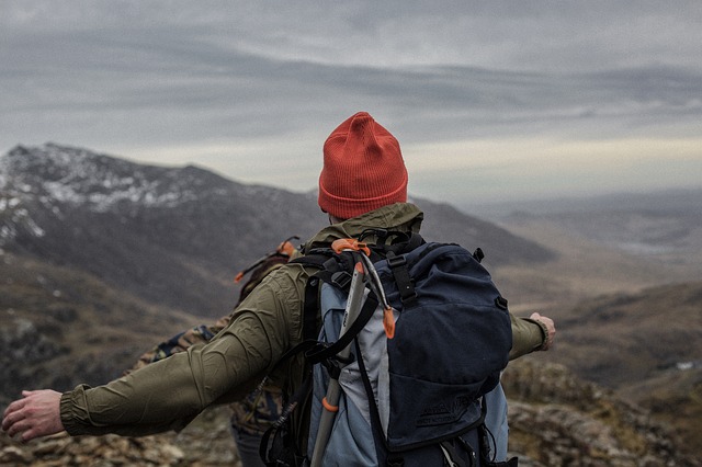 Image by StockSnap from Pixabay