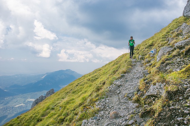 Image by StockSnap from Pixabay