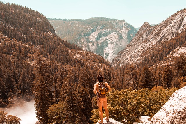Image by StockSnap from Pixabay