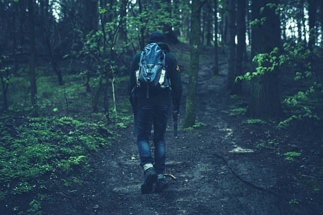 Image by StockSnap from Pixabay