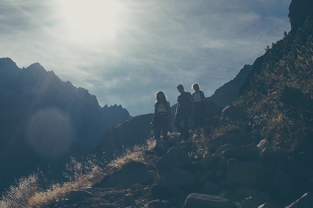 Image by StockSnap from Pixabay