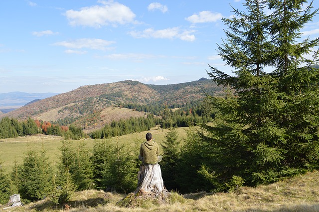 Image by Free-Photos from Pixabay