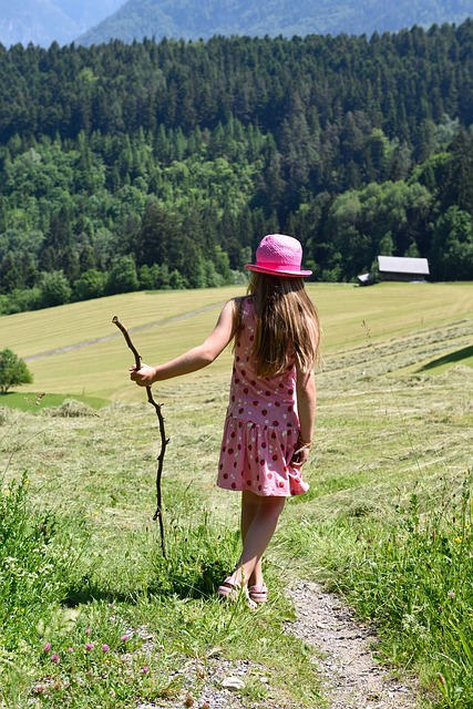 Image by Pezibear from Pixabay