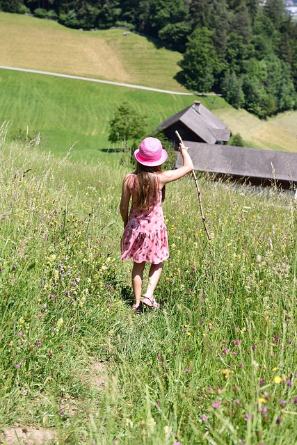 Image by Pezibear from Pixabay