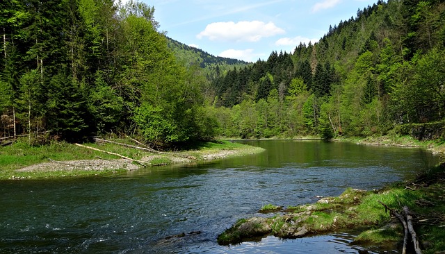 Image by Dariusz Staniszewski from Pixabay