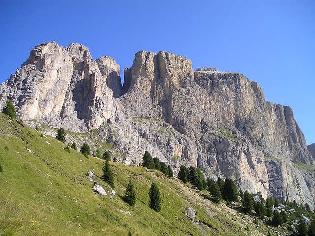 Image by Simon Steinberger from Pixabay
