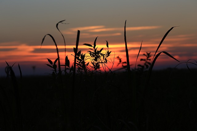 Image by Jarosław Deluga-Góra from Pixabay