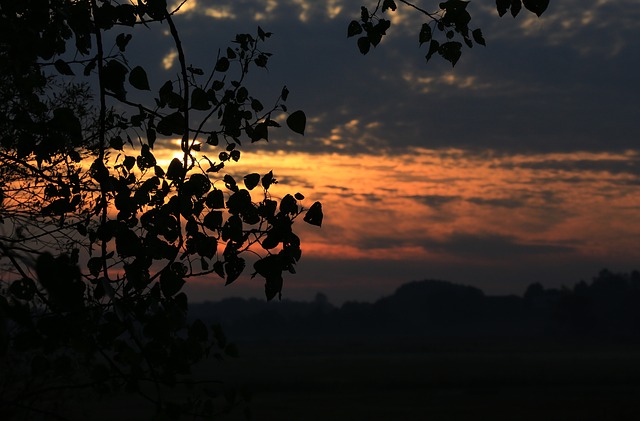 Image by Jarosław Deluga-Góra from Pixabay