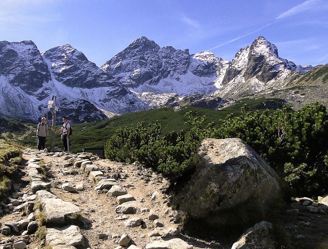 Image by Bronisław Dróżka from Pixabay