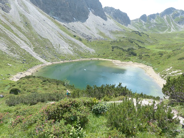 Image by Hans Braxmeier from Pixabay