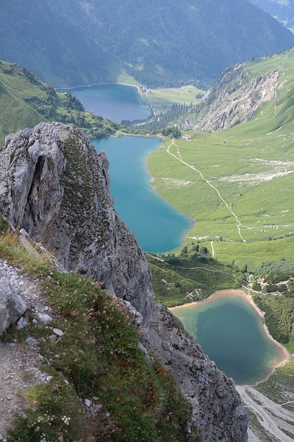 Image by Hans Braxmeier from Pixabay