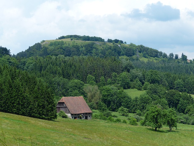 Image by Hans Braxmeier from Pixabay