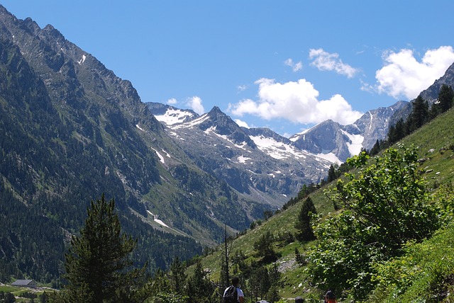 Image by Laurent Bailliet from Pixabay