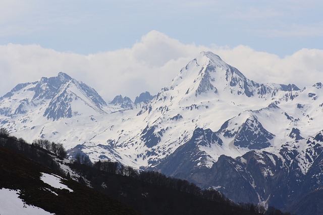 Image by AlmaLeonor López Pilar from Pixabay