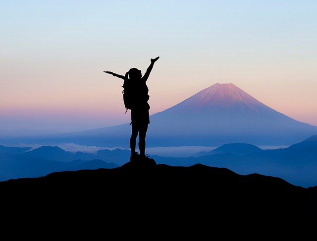 Image by mohamed Hassan from Pixabay