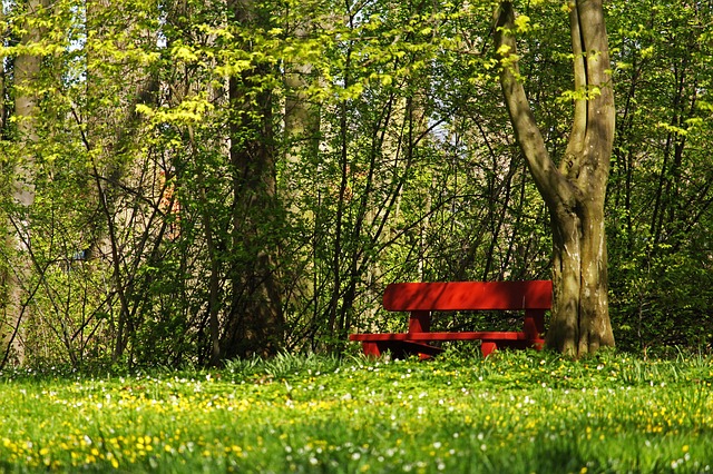 Image by Kerstin Riemer from Pixabay