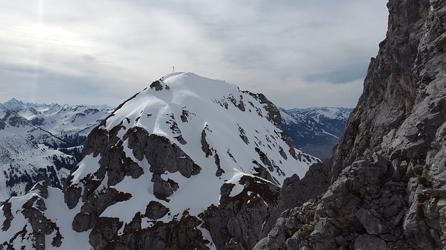 Image by Simon Steinberger from Pixabay