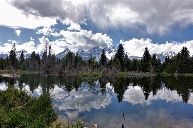 Image by GeorgeB2 from Pixabay