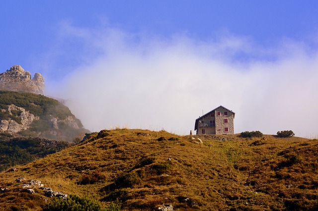 Image by Gianni Crestani from Pixabay