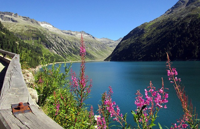 Image by Wolfgang Brauner from Pixabay