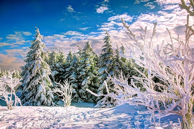 Image by kordula vahle from Pixabay