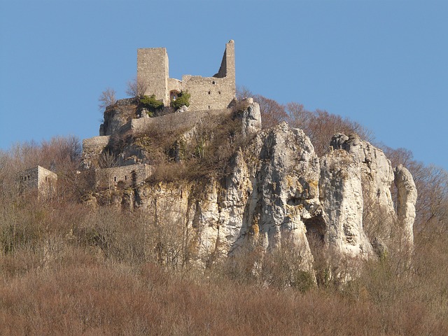 Image by Hans Braxmeier from Pixabay