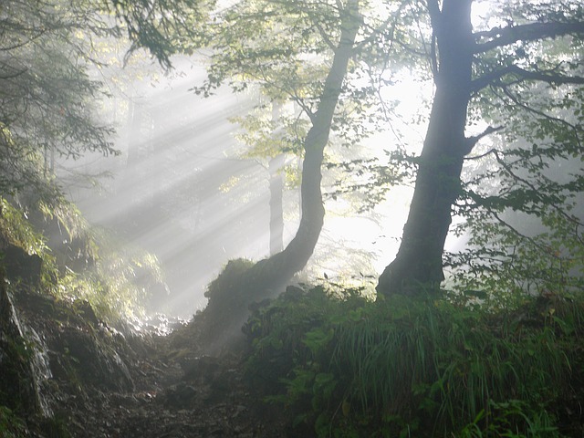 Image by MonikaP from Pixabay