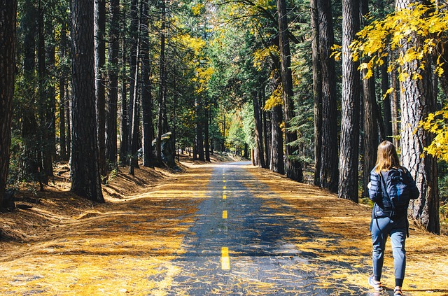 Image by StockSnap from Pixabay