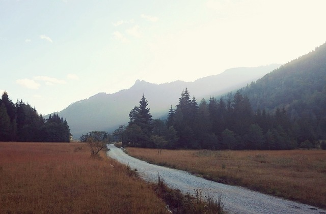 Image by Valentin Schönpos from Pixabay