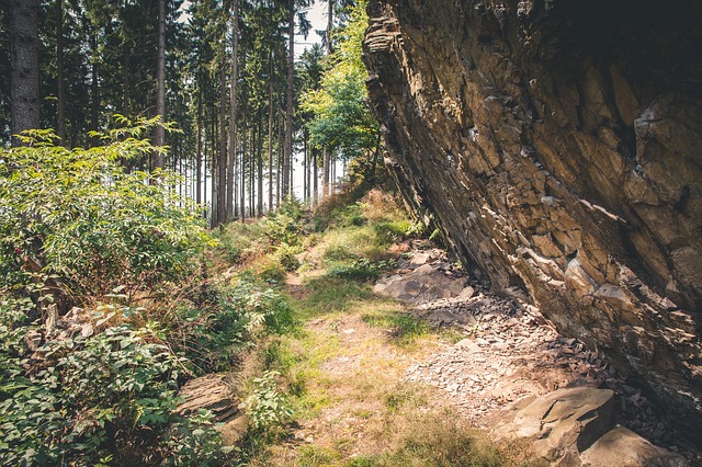 Image by sonnenbrunnen from Pixabay