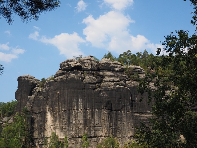 Image by Hans Braxmeier from Pixabay