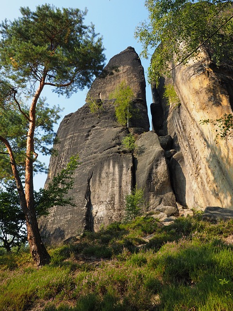 Image by Hans Braxmeier from Pixabay