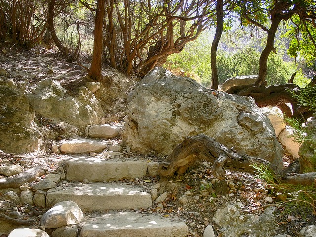 Image by derplani from Pixabay