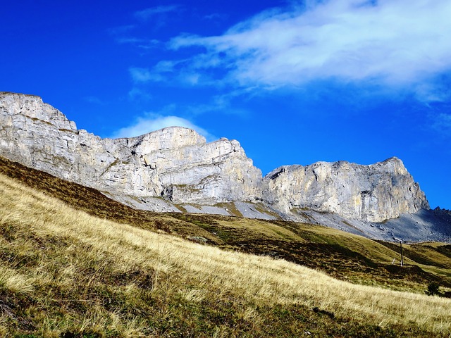 Image by suesun from Pixabay