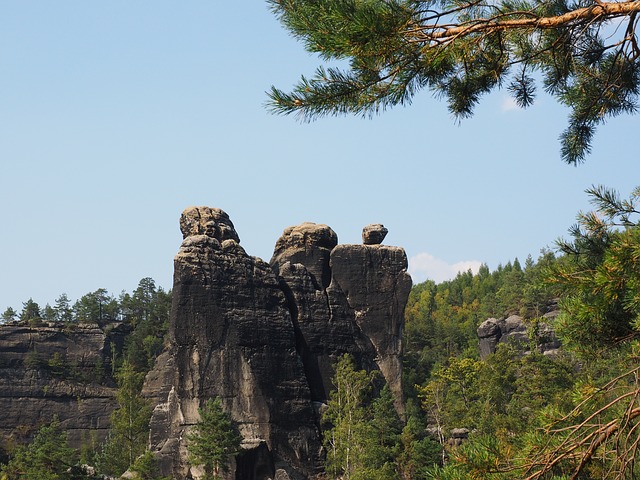 Image by Hans Braxmeier from Pixabay
