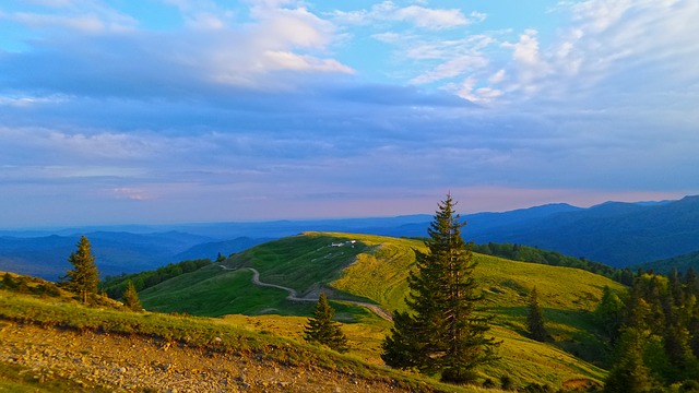 Image by Shahar bar from Pixabay