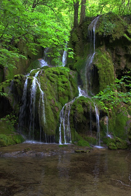 Image by Norbert Gáspár from Pixabay