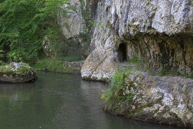 Image by Norbert Gáspár from Pixabay