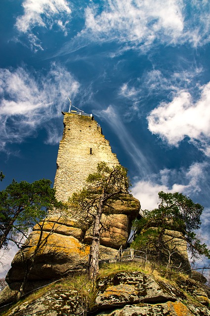 Image by Hannes Edinger from Pixabay
