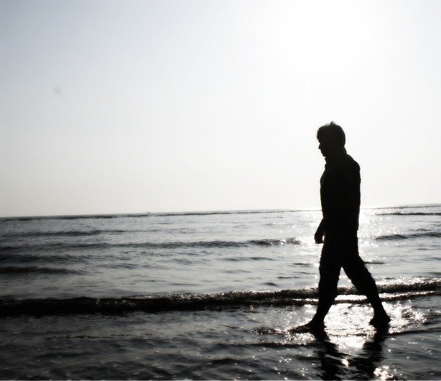 Image by Radoan Tanvir from Pixabay