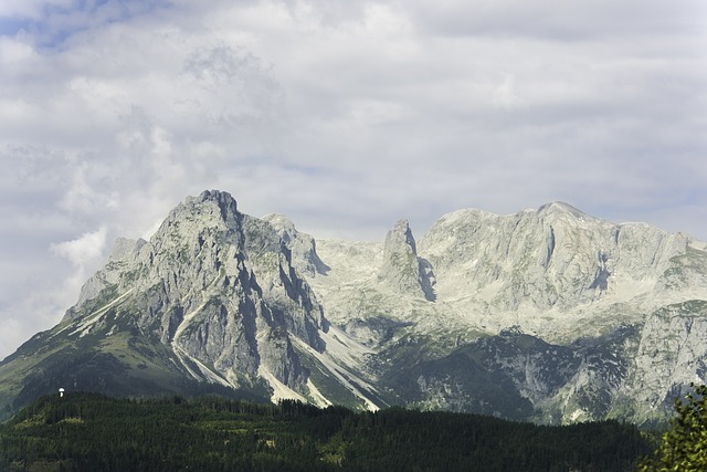 Image by Sophia Hilmar from Pixabay