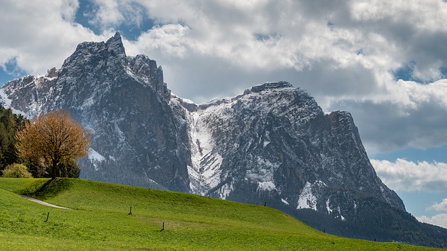 Image by Walter Perathoner from Pixabay
