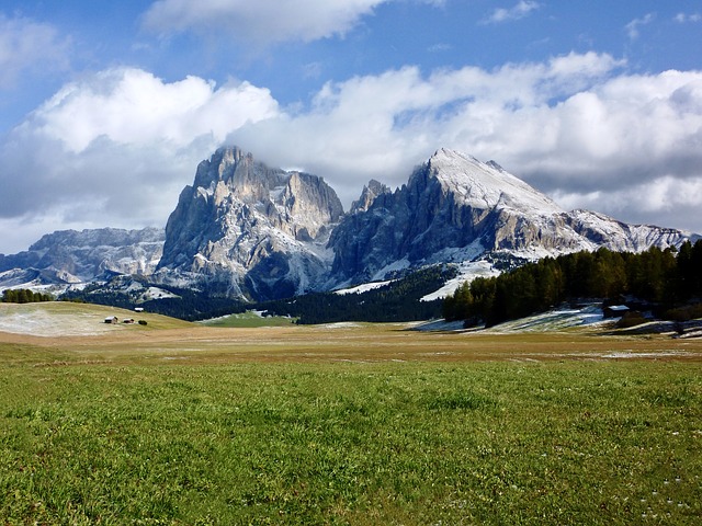 Image by Detlev Lückel from Pixabay