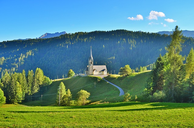 Image by Simone_ph from Pixabay