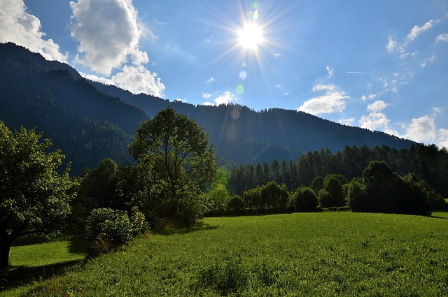 Image by Wilhelmus Hengstmengel from Pixabay