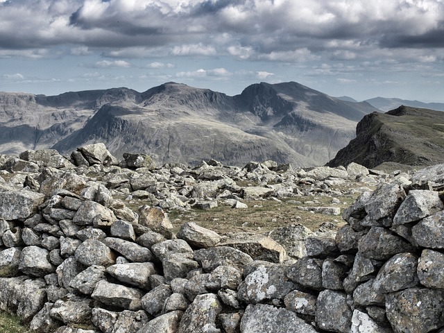 Image by Johnnie Shannon from Pixabay