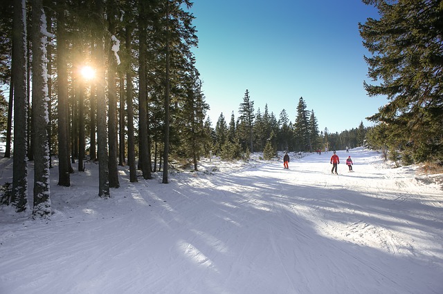 Image by free stock photos from www.picjumbo.com from Pixabay
