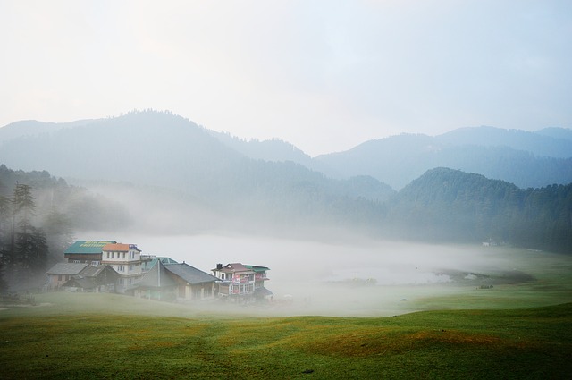 Image by Arkoprovo Ghosh from Pixabay
