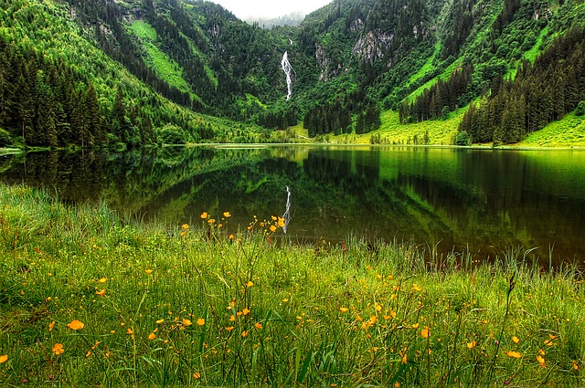 Image by kordula vahle from Pixabay